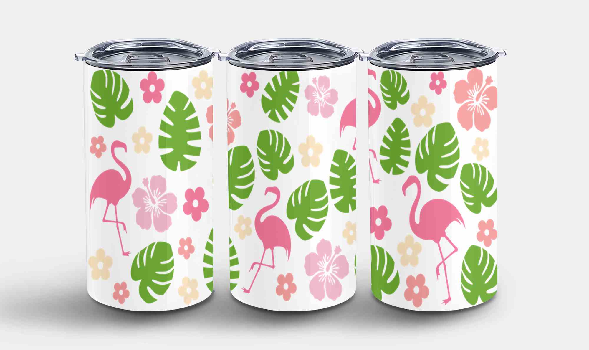 Flamingos-10680